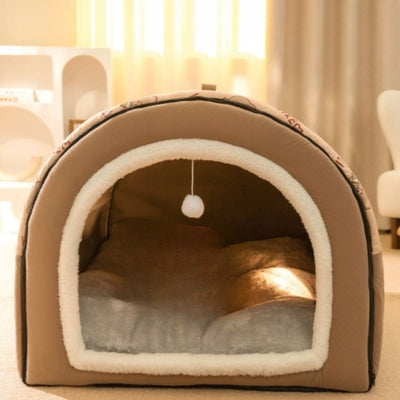 maison chat caramel vue de face