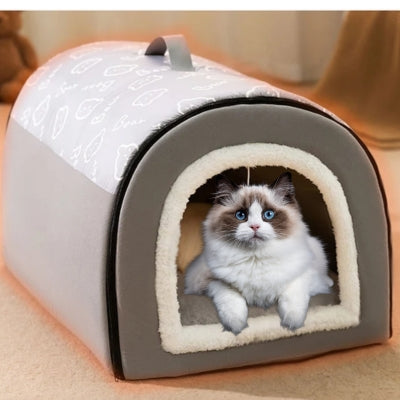 maison chat chat observant dedans