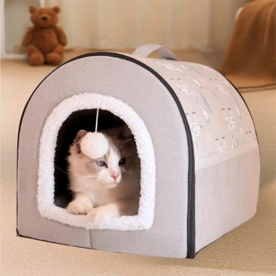 maison chat ragdoll en detente dedans