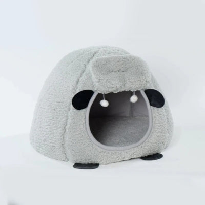 maison chaton couleur grise