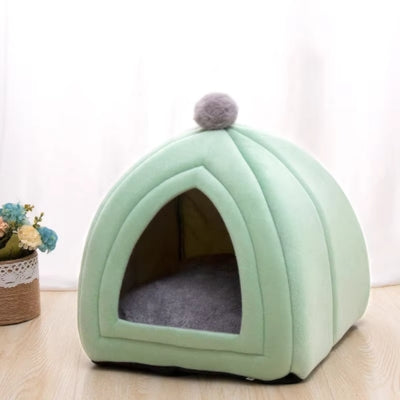 maison chaton verte