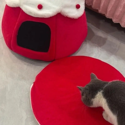 maison pour chat chat marchant sur coussin sorti