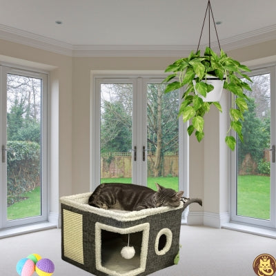 maison pour chat chat-o-bien-ĂȘtre chat endormi paisiblement dessus