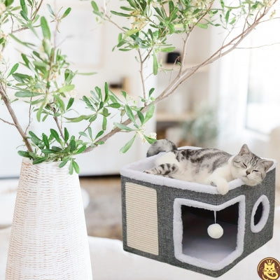 maison pour chat chat-o-bien-ĂȘtre chat endormi profondement dessus