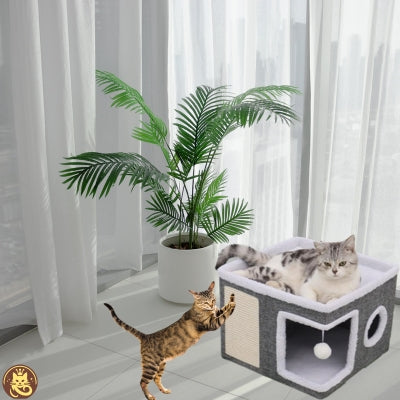 maison pour chat chat-o-bien-ĂȘtre chat relaxant chat grattant