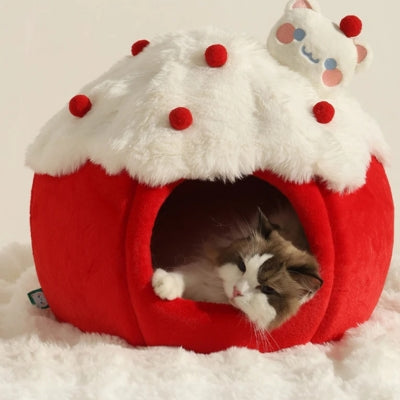 maison pour chat ragdoll en detente dedans