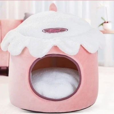 maison pour chaton dans salon