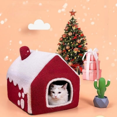 maison pour chats ragdoll en relaxation paisible