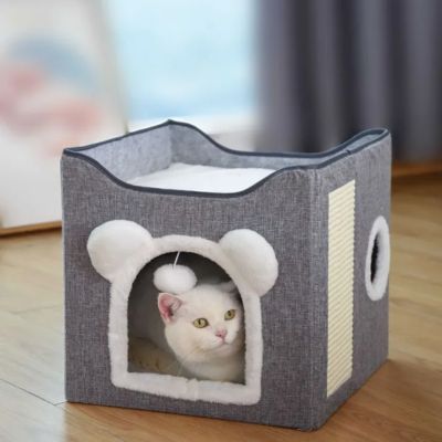 maison pour les chats chat observant dedans