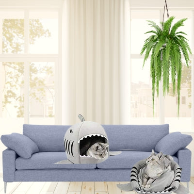 maisons pour chat chats detendus maisons versions fermée et ouverte