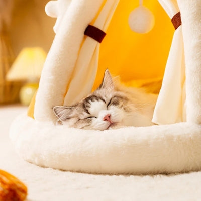 maisons pour chats jaune ragdoll profondement endormi dedans