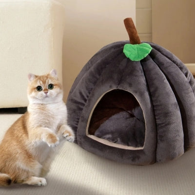 niche à chat grise chat debout devant