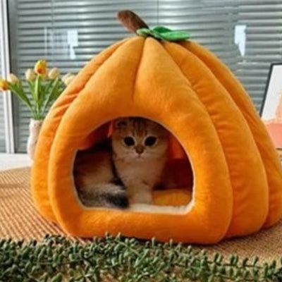 niche à chat orange chaton relaxant dedans