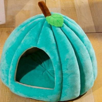 niche à chat turquoise