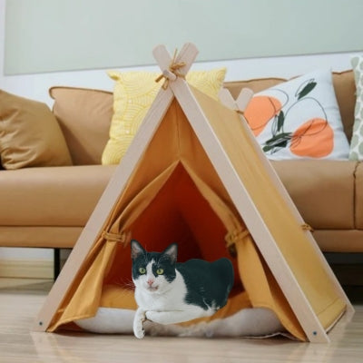 niche chat jaune chat detendu dedans