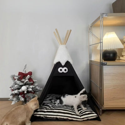 niche chat noir chaton jouant chat devant niche