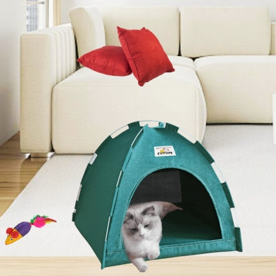 niche chat vert ragdoll detendu dedans