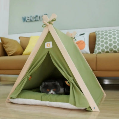 niche chat verte chat se reposant confortablement