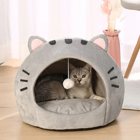 niche pour chat avec chat observant dome felin