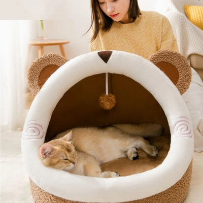 niches pour chats chaton endormi profondement dedans maîtresse le regardant