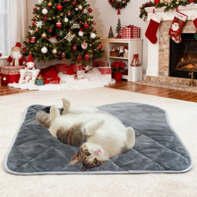 coussin chat chat detendu sur dos dessus deco noel