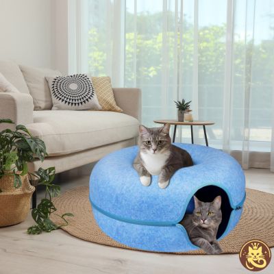 panier chat felty nest bleu chats detendu dedans et dessus