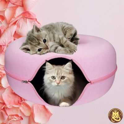 panier chat felty nest rose chat dedans et chaton dessus