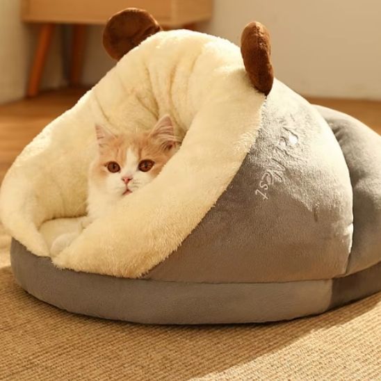 panier chat gris avec chat en observation