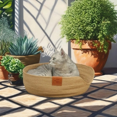 panier chat osier chat relaxant dedans sur balcon