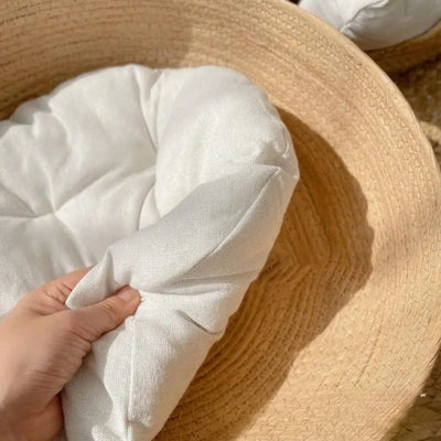 panier chat osier main tenant coussin