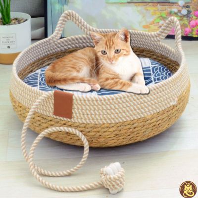 panier chat osier oser l'osier avec coussin bleu chat detendu