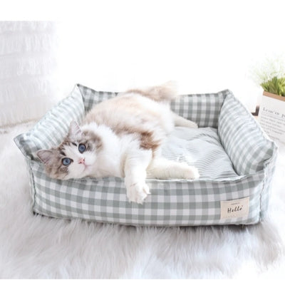 panier chat vert clair ragdoll detendu confortablement dedans dans salon