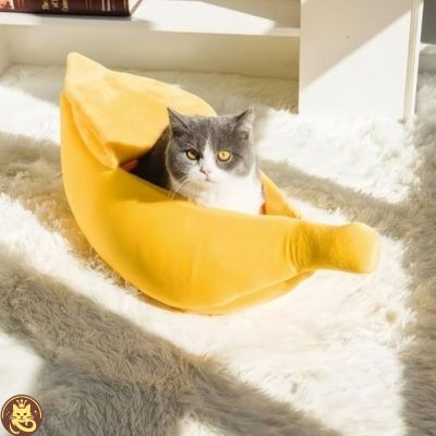 panier pour chat banana split chat assis dedans