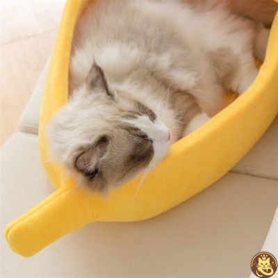 panier pour chat banana split chat faisant dodo dedans
