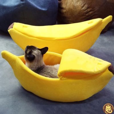 panier pour chat banana split siamois detendu dedans