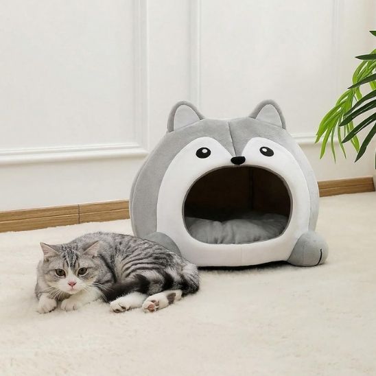 panier pour chat chaton relaxant confortablement devant