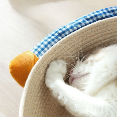 panier pour chat ragdoll dort paisiblement