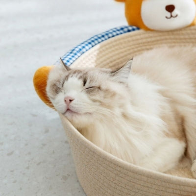 panier pour chat ragdoll endormi profondement