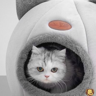 panier pour chat velvy nest gris avec chaton dedans