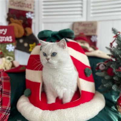 persan debout dans niche chat