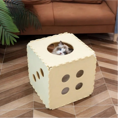 ragdoll caché dans sa maison pour chaton