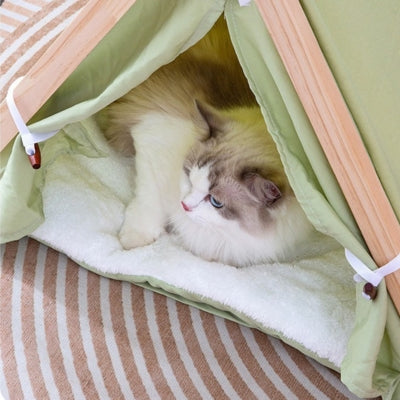 ragdoll lové dans sa niche chat verte