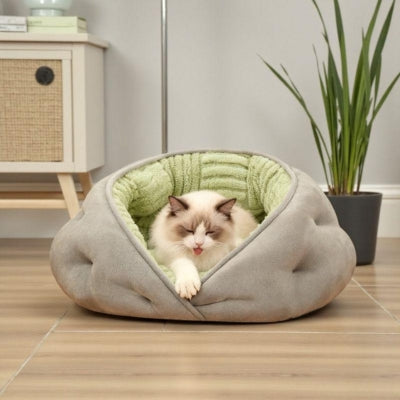 ragdoll se toilette dans sa niche à chat