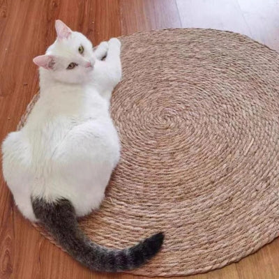 tapis griffoir chat chat en relaxation dessus