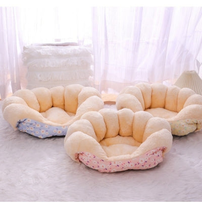 trois couleurs coussin chat forme complètement ouvert