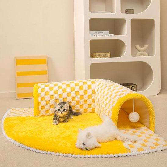 tunnel chat jaune deux chatons relaxant sur tapis