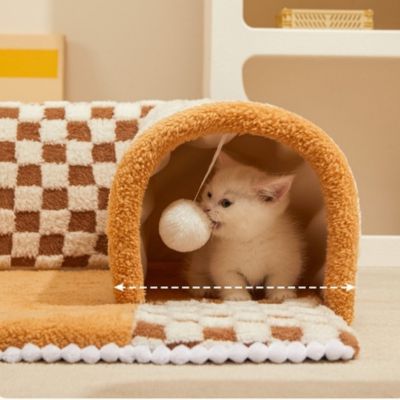 tunnel chat marron chat jouant avec pompom