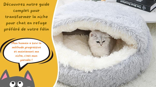 niche pour chat chaton lové confortablement dedans