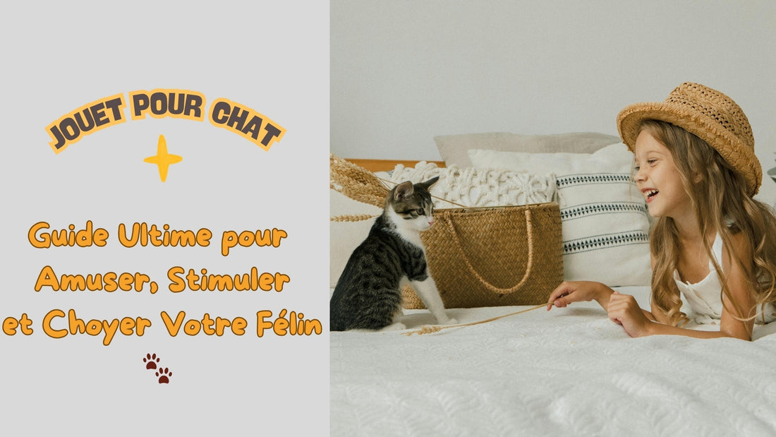 Jouet pour Chat : Le Guide Ultime pour Amuser, Stimuler et Choyer Votre Félin