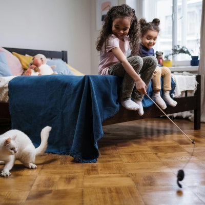 enfants agitant jouet pour chat chat s'apprête à sauter dessus